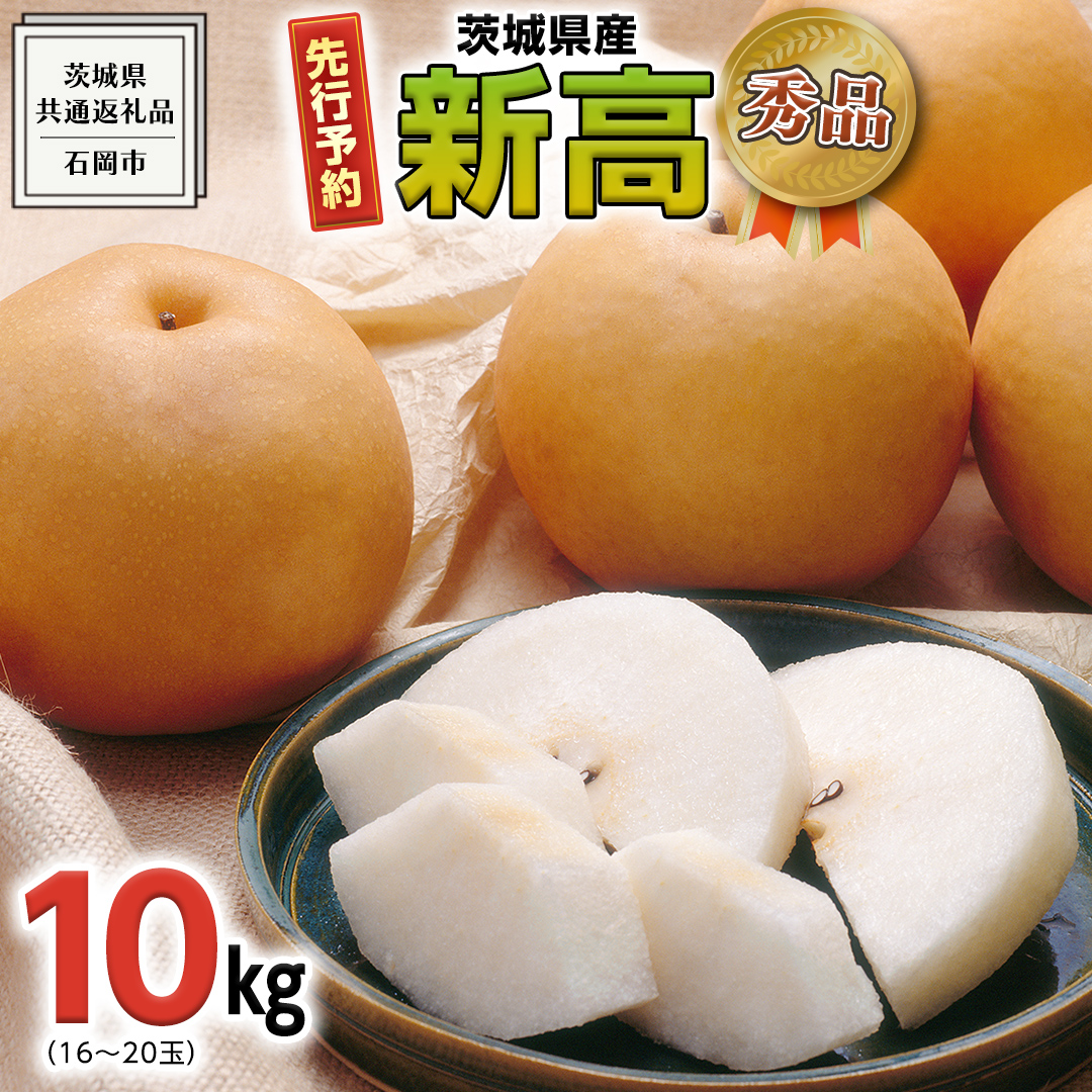 《 先行予約 》 【 秀品 】 茨城県産 梨 新高 10kg （茨城県共通返礼品：石岡市） 【 2024年 発送分】 フルーツ 果物 なし ナシ 旬 新鮮 旬 期間限定 甘い 国産