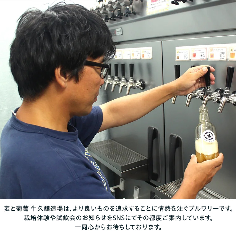 【 3ヶ月隔月 】 クラフトビール おまかせ 定期便 6本セット 飲み比べ 茨城県産 牛久醸造場 330ml × 6本 ビール 地ビール クラフト お酒 贈り物 ギフト 詰め合わせ