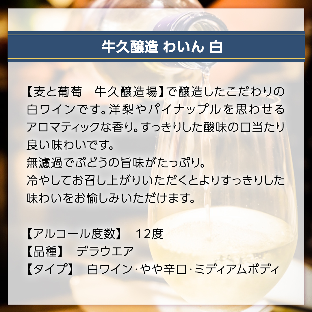 『 牛久醸造 わいん 』 赤白 セット 計 2本 飲み比べ 茨城県産 牛久醸造場 750ml 日本ワイン ワイン 赤ワイン 白ワイン ミディアムボディ お酒 贈り物 葡萄 ぶどう 和食 洋梨 パイナップル 酸味