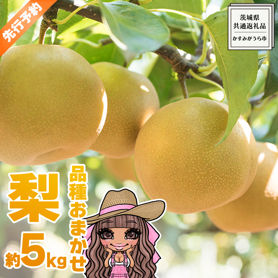【 先行予約 】 品種おまかせ 採れたて 完熟天使の 甘梨 約 5kg （ 茨城県共通返礼品： かすみがうら市 ） 【 2026年8月中旬頃発送 】 フルーツ 果物 なし ナシ 旬 新鮮 旬 期間限定 甘い 国産