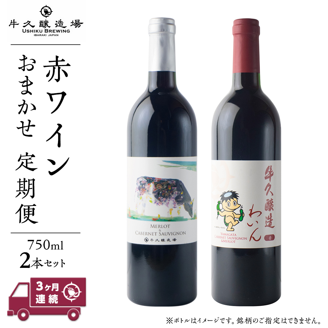 【 3ヶ月連続 】 赤ワイン おまかせ 定期便 2本セット 飲み比べ 茨城県産 牛久醸造場 厳選 750ml × 2本 お酒 ワイン ワイン好き 初心者 上級者 贈り物 ギフト 詰め合わせ