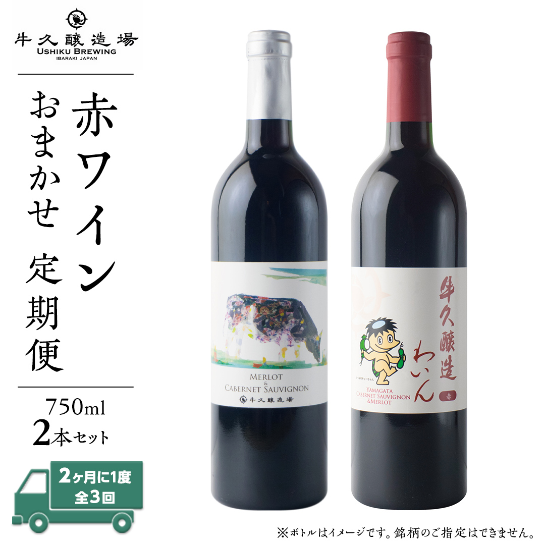 【 3ヶ月隔月 】 赤ワイン おまかせ 定期便 2本セット 飲み比べ 茨城県産 牛久醸造場 厳選 750ml × 2本 お酒 ワイン ワイン好き 初心者 上級者 贈り物 ギフト 詰め合わせ