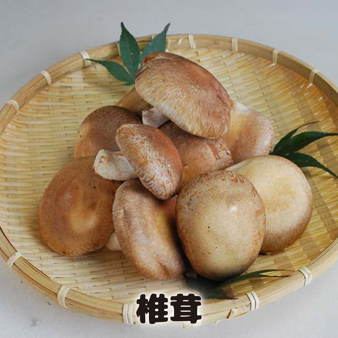 しいたけ 粉末 3袋 セット（各 35g ）（茨城県共通返礼品：城里町） シイタケの粉末 しいたけ 野菜 乾燥 椎茸 きのこ パウダー 手軽 時短