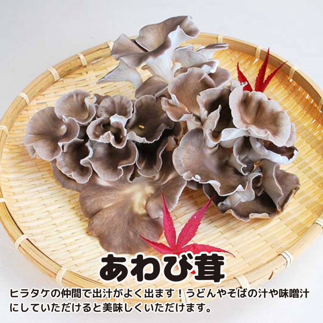 【3ヶ月定期便】きのこ の 詰め合わせ Lサイズ( 約2kg ) （茨城県共通返礼品：城里町） キノコ セット 野菜 低カロリー ダイエット デトックス バラエティ セット 新鮮