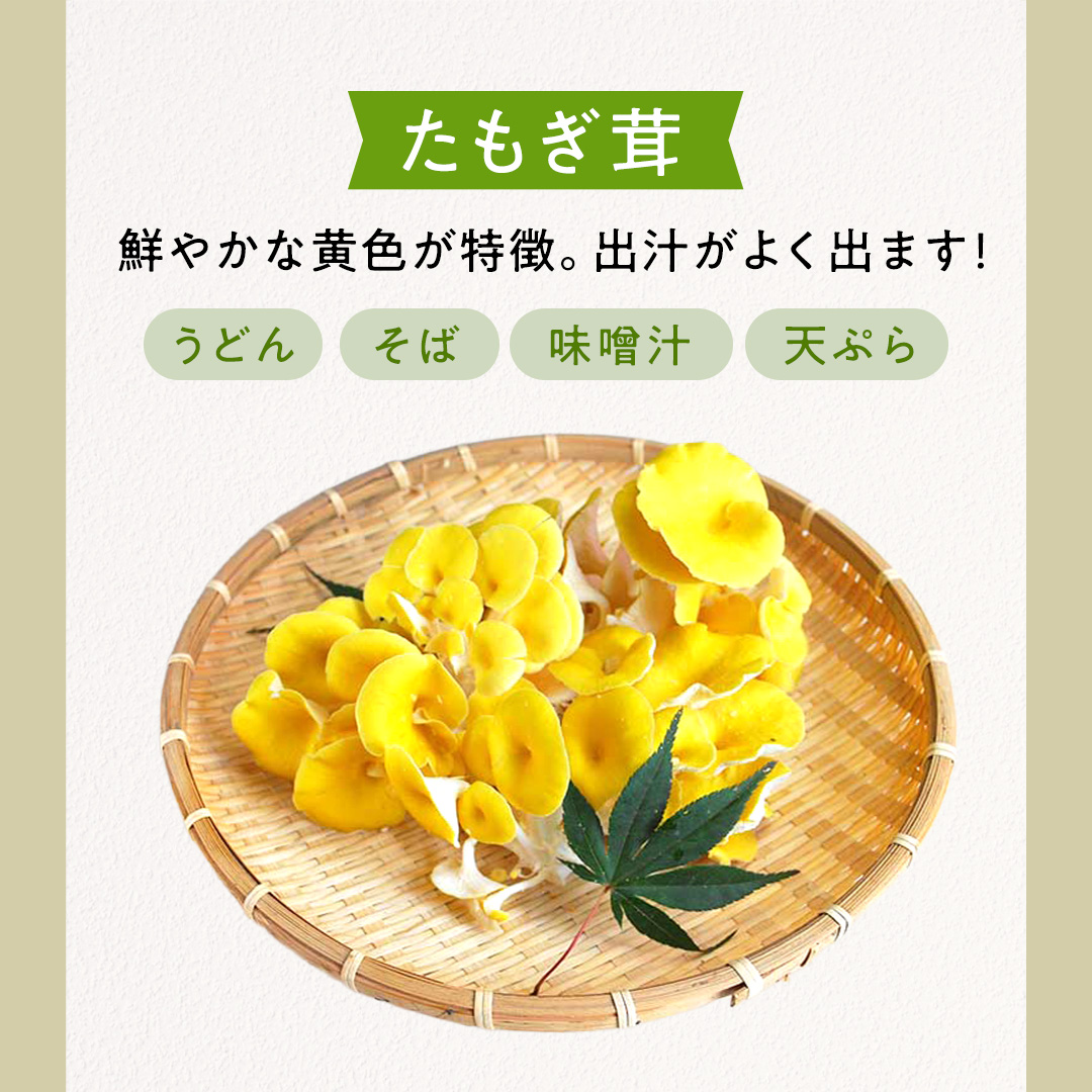 【3ヶ月定期便】きのこ の 詰め合わせ Lサイズ( 約2kg ) （茨城県共通返礼品：城里町） キノコ セット 野菜 低カロリー ダイエット デトックス バラエティ セット 新鮮