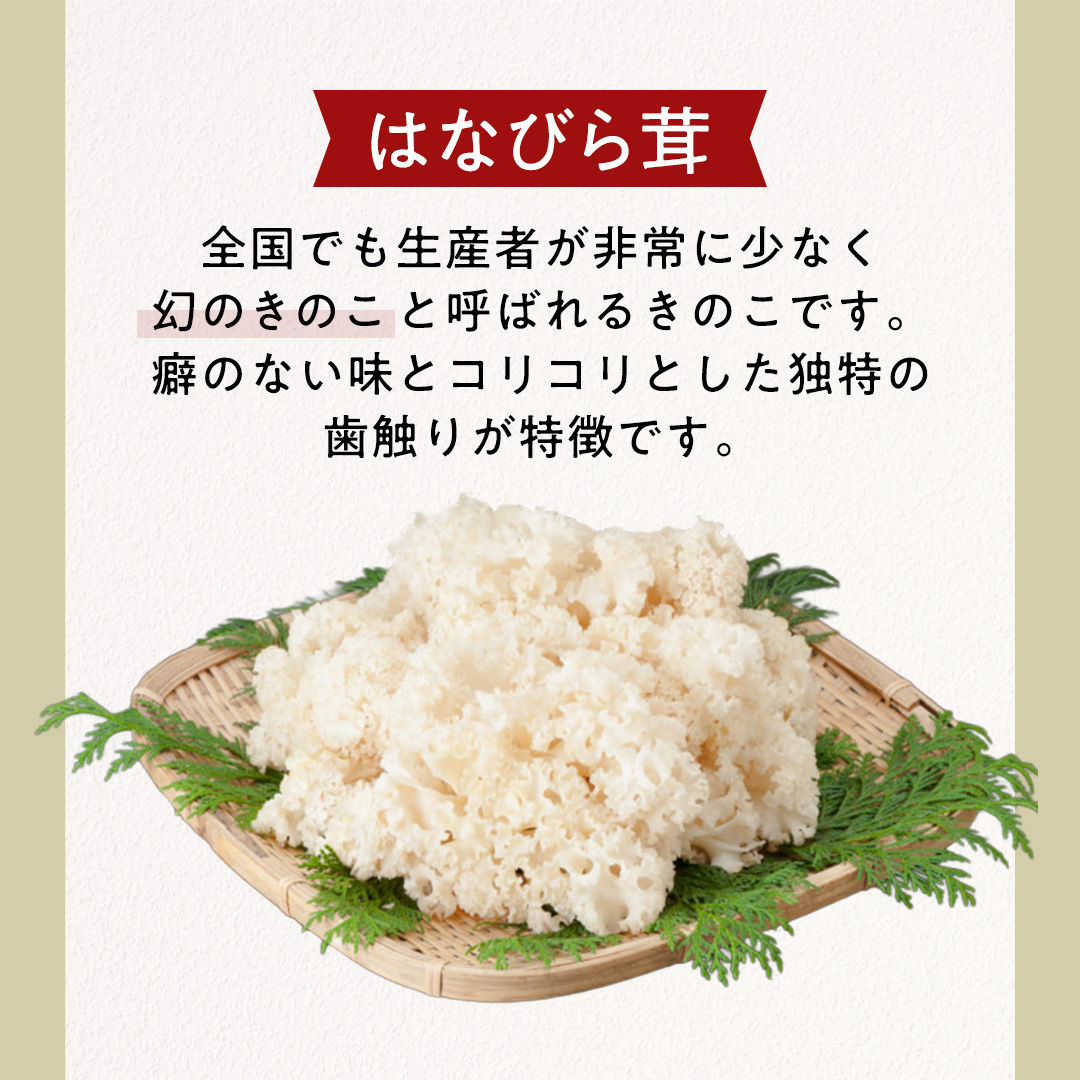 【3ヶ月定期便】きのこ の 詰め合わせ Lサイズ( 約2kg ) （茨城県共通返礼品：城里町） キノコ セット 野菜 低カロリー ダイエット デトックス バラエティ セット 新鮮