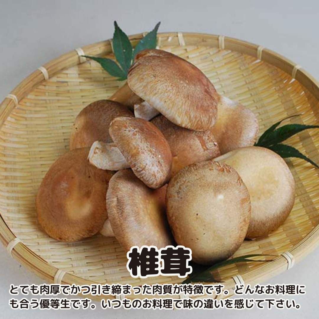 【3ヶ月定期便】きのこ の 詰め合わせ Lサイズ( 約2kg ) （茨城県共通返礼品：城里町） キノコ セット 野菜 低カロリー ダイエット デトックス バラエティ セット 新鮮