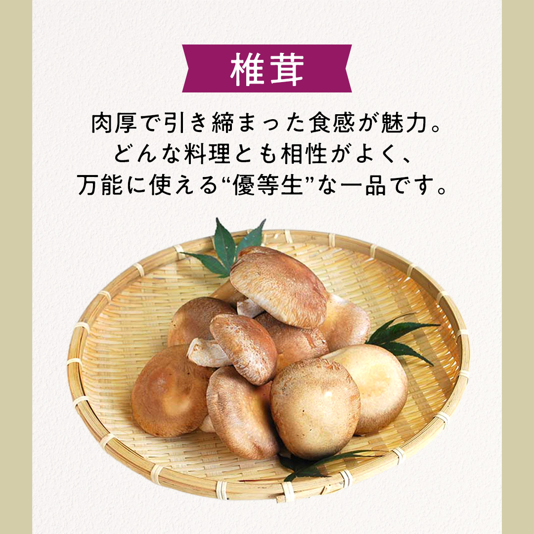 【3ヶ月定期便】きのこ の 詰め合わせ Lサイズ( 約2kg ) （茨城県共通返礼品：城里町） キノコ セット 野菜 低カロリー ダイエット デトックス バラエティ セット 新鮮