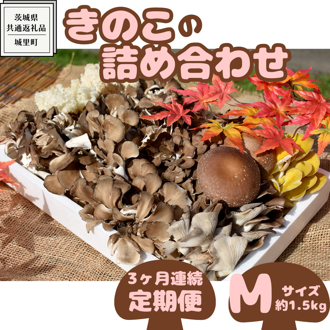 【 3ヶ月連続定期便 】きのこ の詰め合わせ Mサイズ ( 約1.5kg ) （茨城県共通返礼品：城里町） キノコ セット 野菜 低カロリー ダイエット デトックス バラエティ セット 新鮮