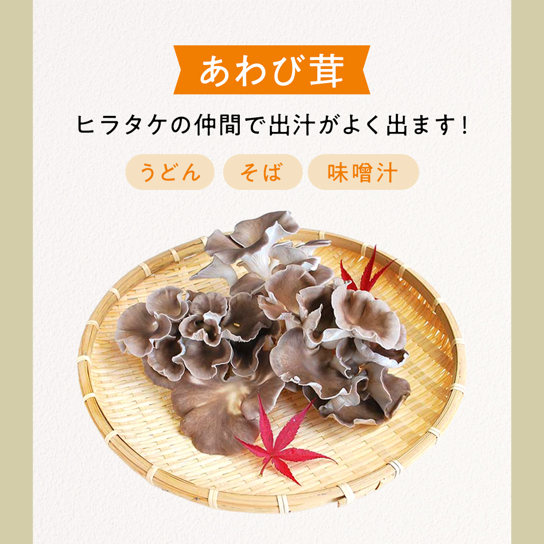 【 3ヶ月連続定期便 】きのこ の詰め合わせ Mサイズ ( 約1.5kg ) （茨城県共通返礼品：城里町） キノコ セット 野菜 低カロリー ダイエット デトックス バラエティ セット 新鮮