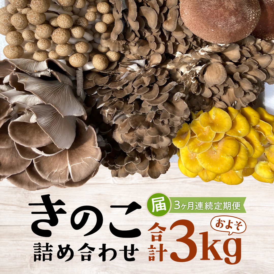 【 3ヶ月連続定期便 】きのこ の 詰め合わせ Sサイズ ( 約1kg ) （茨城県共通返礼品：城里町） キノコ セット 野菜 低カロリー ダイエット デトックス バラエティ セット 新鮮