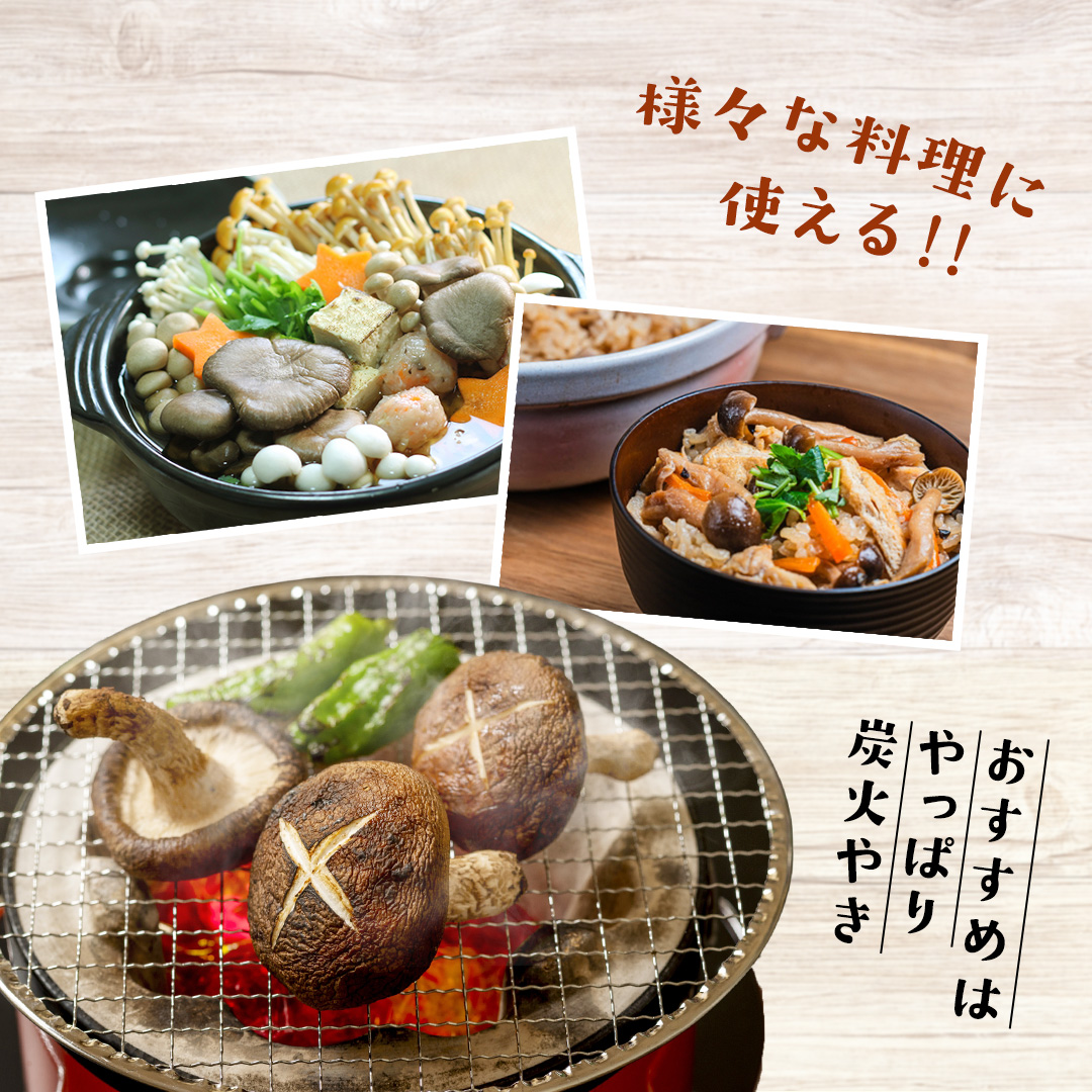  【 3ヶ月連続定期便 】きのこ の 詰め合わせ Sサイズ ( 約1kg ) （茨城県共通返礼品：城里町） キノコ セット 野菜 低カロリー ダイエット デトックス バラエティ セット 新鮮