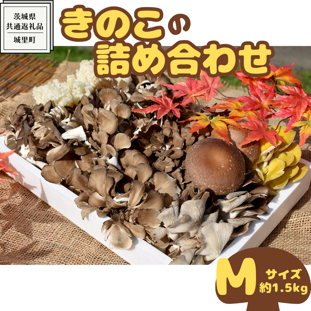 きのこ の 詰め合わせ Mサイズ ( 約1.5kg ) （茨城県共通返礼品：城里町） キノコ セット 野菜 低カロリー ダイエット デトックス バラエティ セット 新鮮