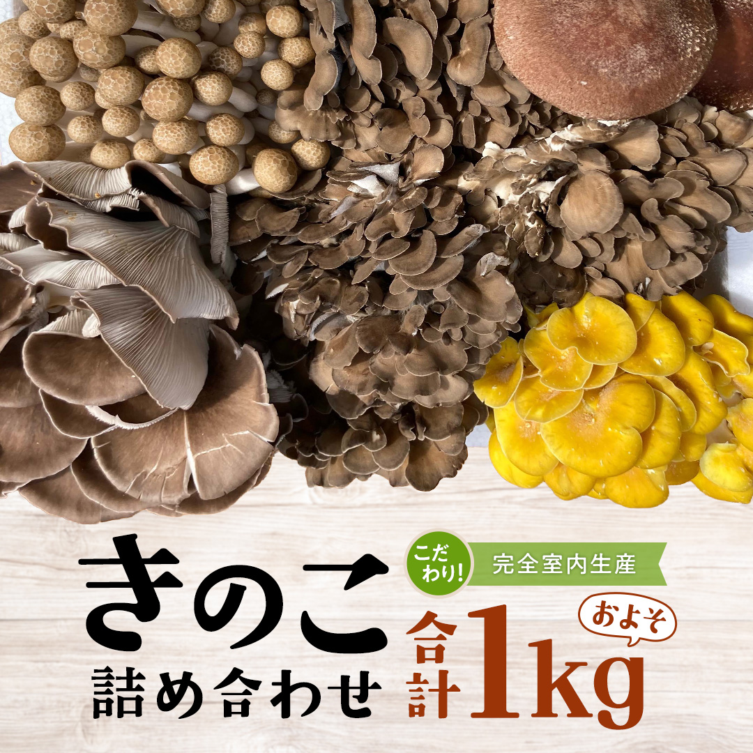 きのこ の 詰め合わせ Sサイズ ( 約1kg ) （茨城県共通返礼品：城里町） キノコ セット 野菜 低カロリー ダイエット デトックス バラエティ セット 新鮮