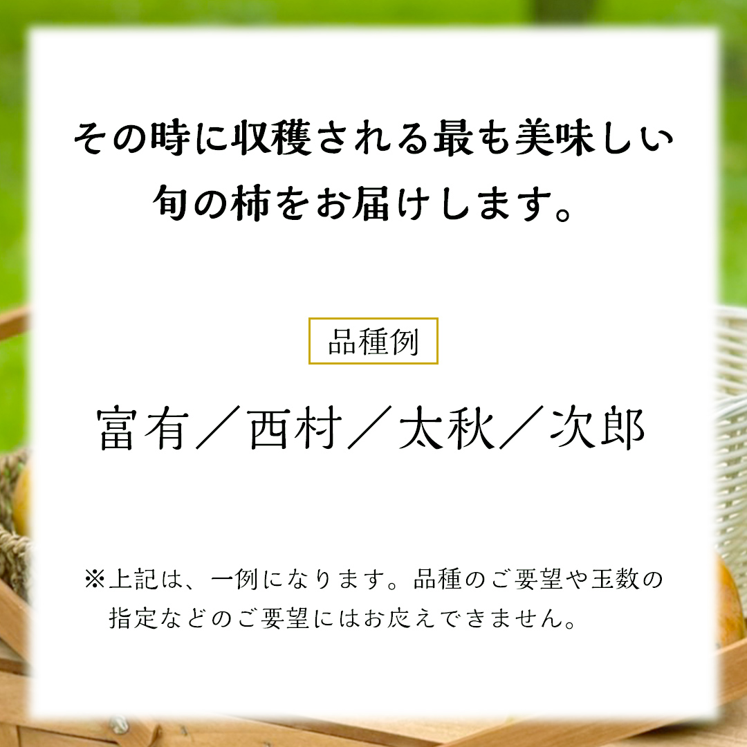 品種おまかせ 柿 約 3kg（ 茨城県共通返礼品：かすみがうら市 ）  フルーツ かき カキ 果物 旬 新鮮 期間限定 甘い 国産