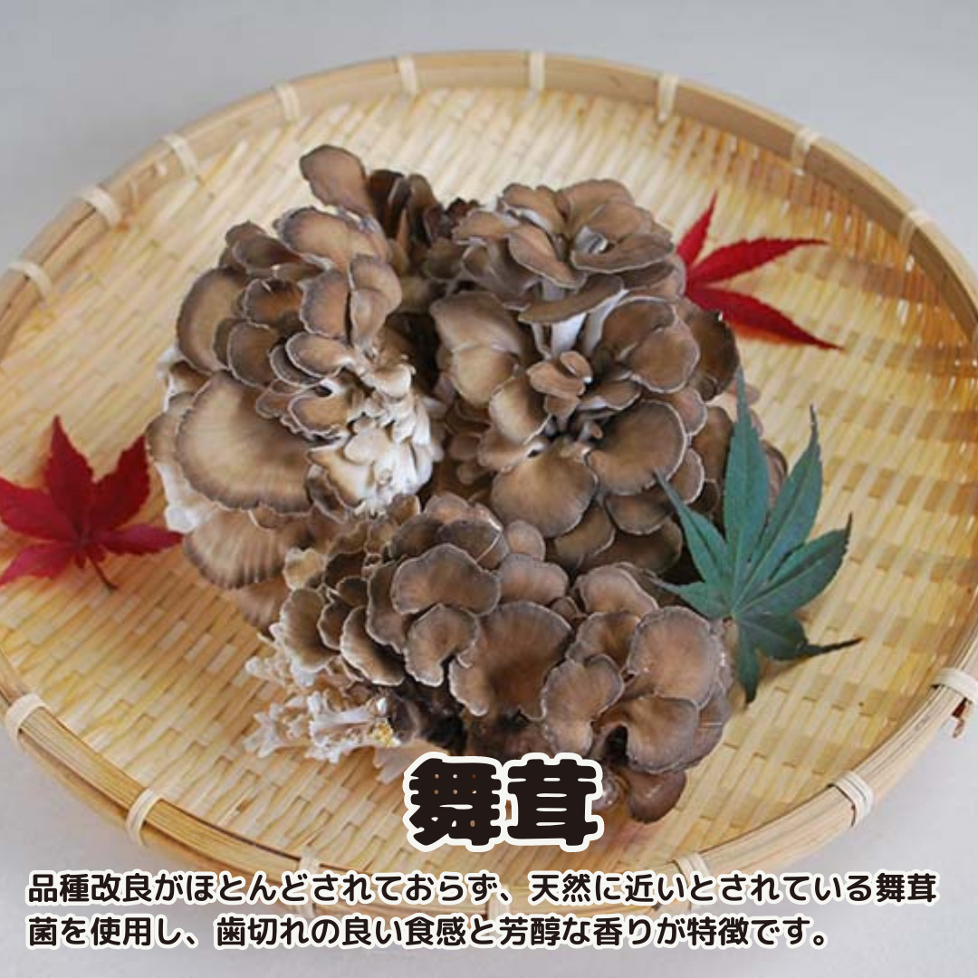 きのこ の 詰め合わせ Sサイズ ( 約1kg ) （茨城県共通返礼品：城里町） キノコ セット 野菜 低カロリー ダイエット デトックス バラエティ セット 新鮮