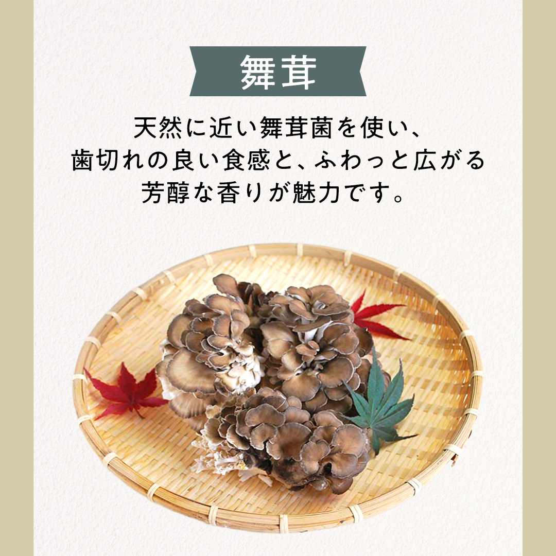 【3ヶ月定期便】きのこ の 詰め合わせ Lサイズ( 約2kg ) （茨城県共通返礼品：城里町） キノコ セット 野菜 低カロリー ダイエット デトックス バラエティ セット 新鮮