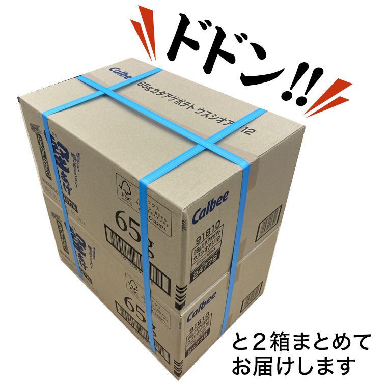 カルビー 堅あげポテト うすしお味 24袋 ( 2ケース ) 65g ポテチ お菓子 おかし 大量 スナック おつまみ ジャガイモ じゃがいも まとめ買い 数量限定