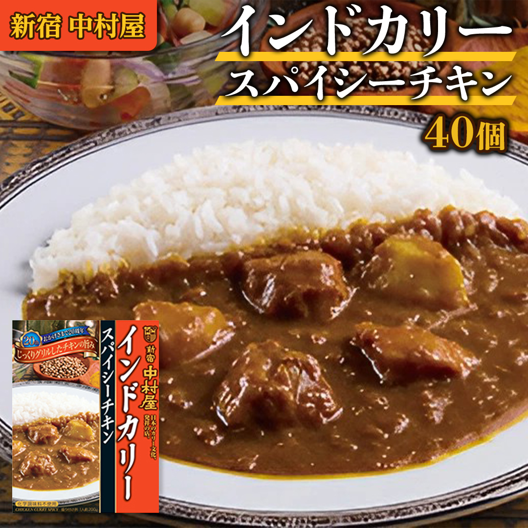 新宿 中村屋 インドカリー スパイシーチキン 40個 人気 洋食 レトルト 時短 カレー インドカレー スパイシーカレー 長期保存 災害用 保存食