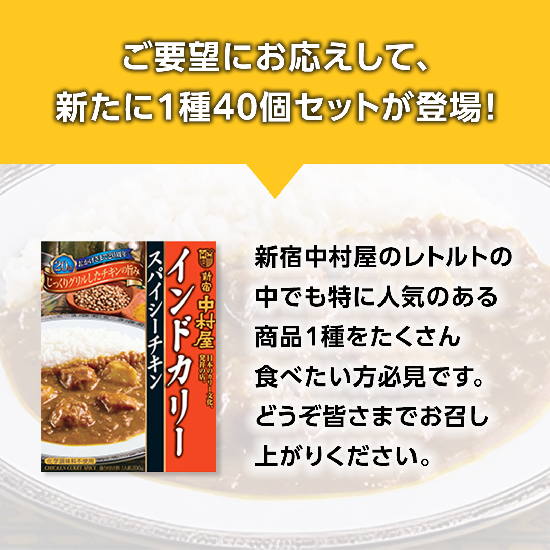 新宿 中村屋 インドカリー スパイシーチキン 40個 人気 洋食 レトルト 時短 カレー インドカレー スパイシーカレー 長期保存 災害用 保存食