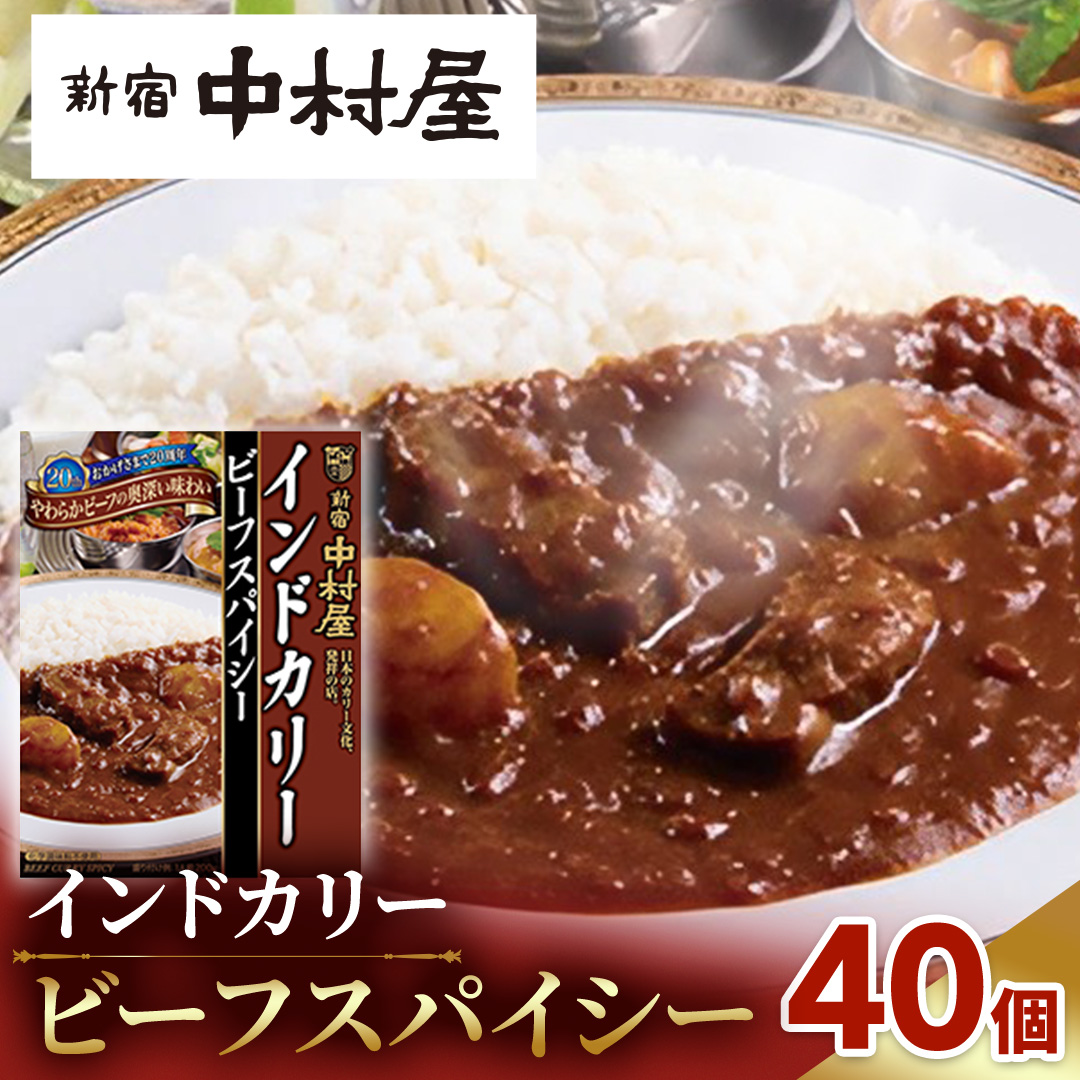新宿 中村屋 インドカリー ビーフスパイシー 40個 レトルト レトルトカレー カレー 常温 温めるだけ 人気 洋食 時短 インドカレー スパイシーカレー 長期保存 災害用 保存食 レンチン レンジ