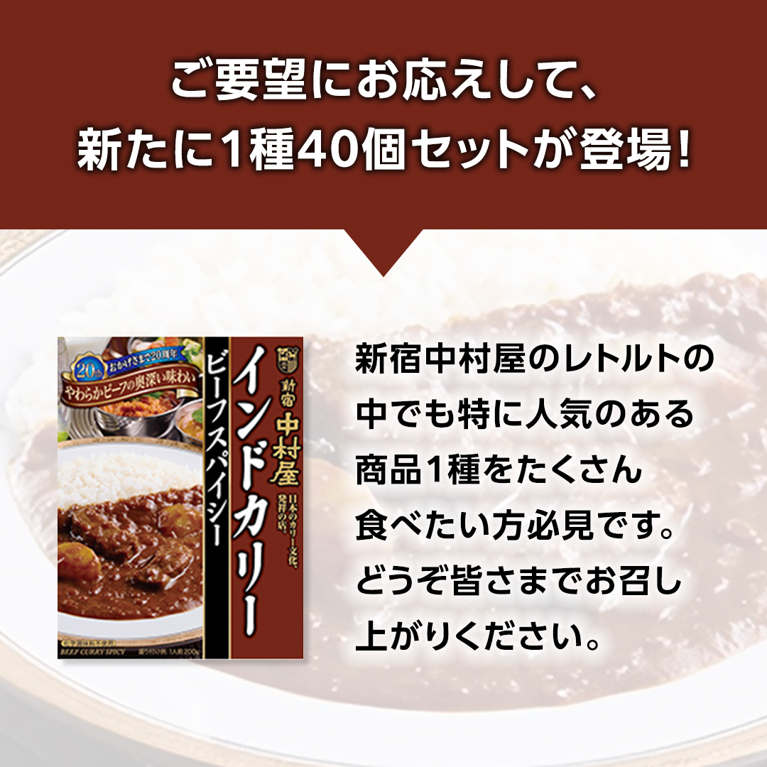 新宿 中村屋 インドカリー ビーフスパイシー 40個 人気 洋食 レトルト 時短 カレー インドカレー スパイシーカレー 長期保存 災害用 保存食