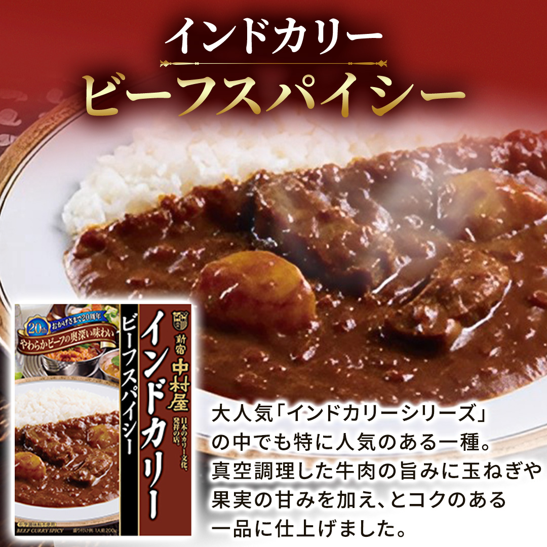 新宿 中村屋 インドカリー ビーフスパイシー 40個 レトルト レトルトカレー カレー 常温 温めるだけ 人気 洋食 時短 インドカレー スパイシーカレー 長期保存 災害用 保存食 レンチン レンジ