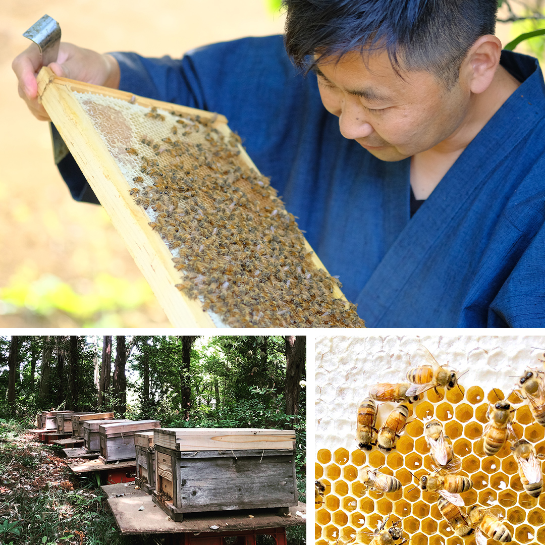 【 数量限定 】山桜 はちみつ と春の 田舎はちみつ の 3種 ギフト セット [ 結蜜 Musubi-R3山桜 120g ]（ 茨城県共通返礼品： 五霞町 ） 生ハチミツ 蜂蜜 非加熱 茨城県産 国産 天然 純粋 贈答用