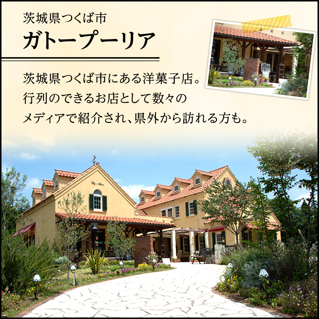 【牛久市産 落花生 使用】ピーナッツロール ・ チョコロール 2種詰合せ 甘い おいしい 美味しい 落花生 ピーナッツ ピーナツ スイーツ おうちカフェ お菓子 おやつ お取り寄せ 詰め合わせ セット 国産 茨城 特産品