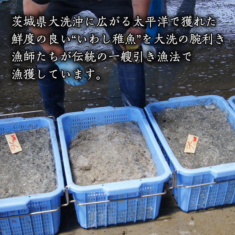 茨城県産 しらす干し 1kg ( 共通返礼品：茨城県 大洗町 )  シラス干し しらす シラス 業務用 冷凍 魚介 海鮮 しらす丼 離乳食 箱