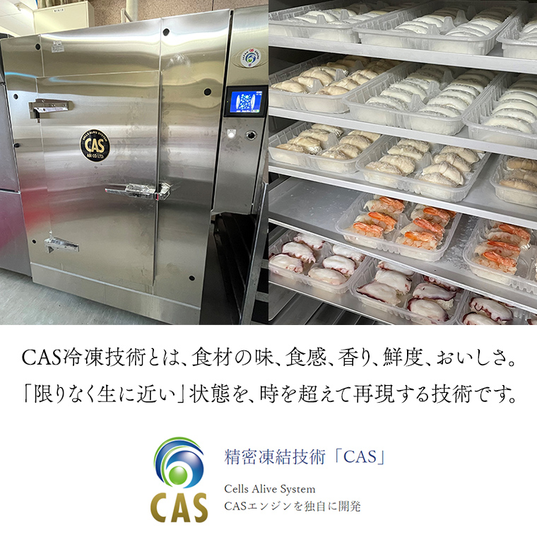 サーモン推し！ 冷凍握り寿司 24貫 CAS精密冷凍 すし 寿司 サーモン 鮭 ネギトロ