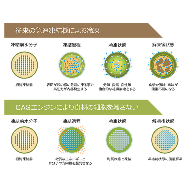 サーモン推し！ 冷凍握り寿司 24貫 CAS精密冷凍 すし 寿司 サーモン 鮭 ネギトロ