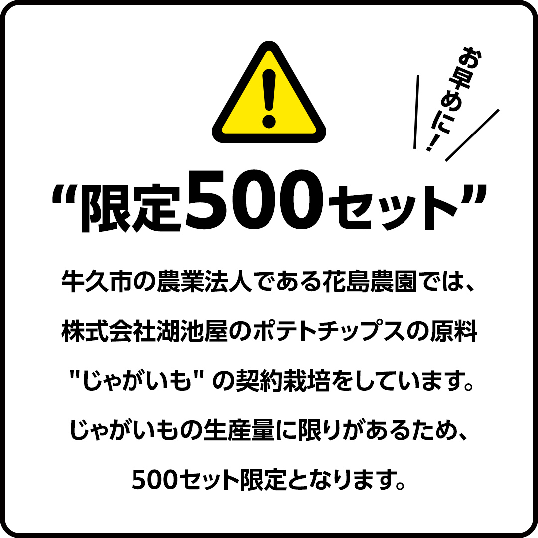 【 湖池屋 3ヶ月 定期便 】 湖池屋 ポテトチップス 2種類アソート （のり塩・じゃがいもと塩）（各12袋・計24袋 ×３回） ポテチ お菓子 おかし 大量 スナック おつまみ ジャガイモ じゃがいも まとめ買い スナック菓子 頒布会 数量限定