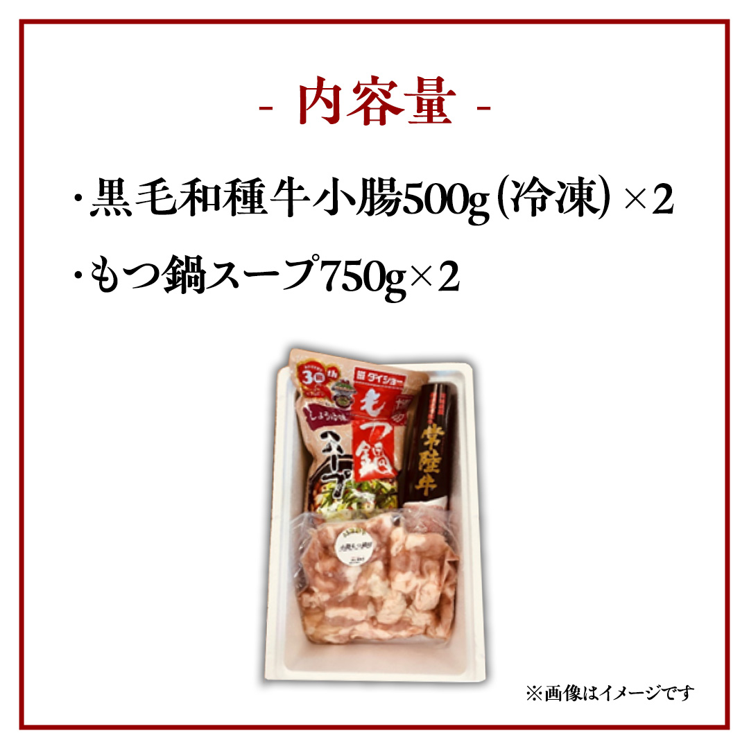 茨城県産 黒毛和牛 もつ鍋 セット（ 8人前 ） モツ 和牛 牛肉 おいしい 美味しい コラーゲン おつまみ ビールのお供 お酒のあて 酒の肴 おかず 惣菜 時短 グルメ お取り寄せ 詰め合わせ 国産 茨城