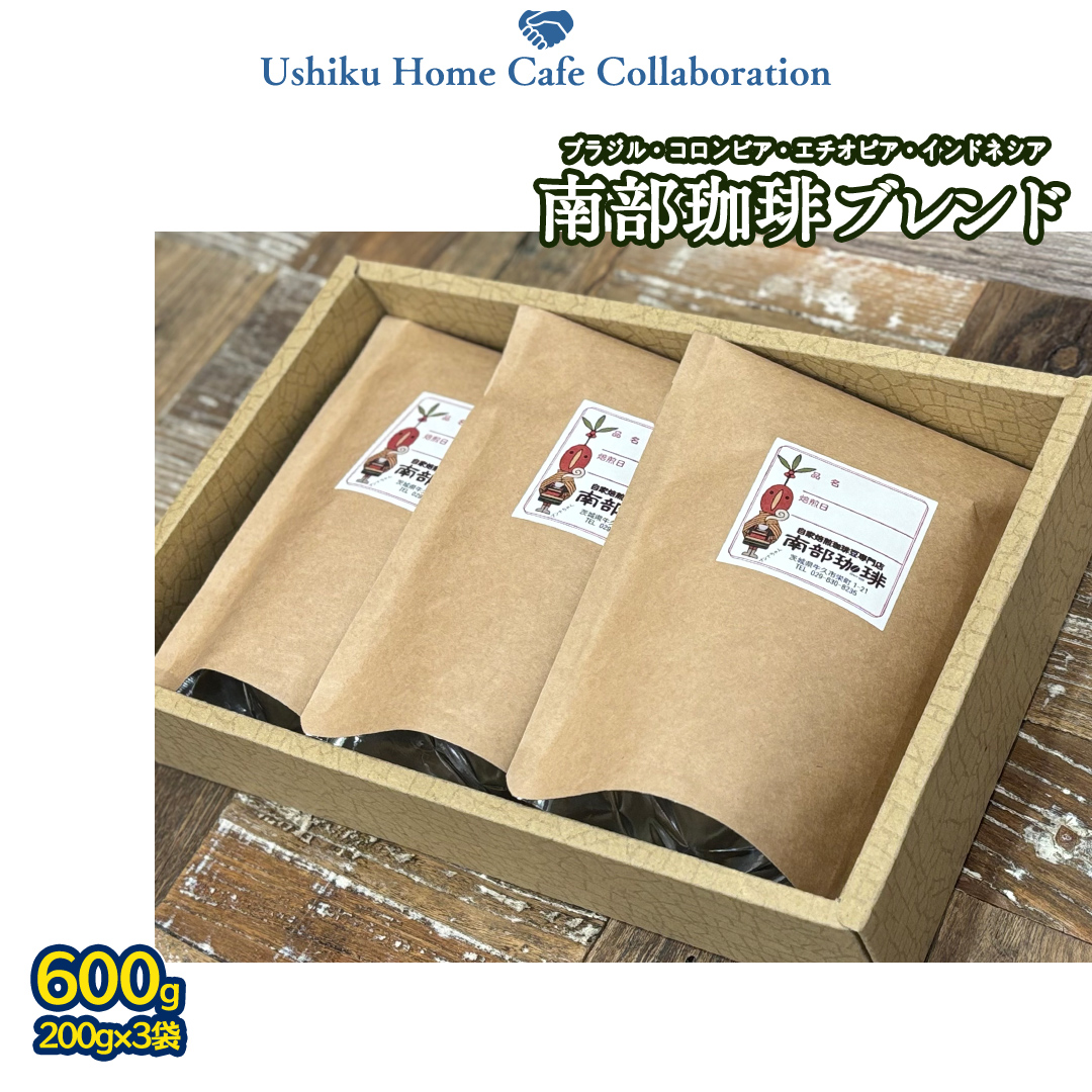 【牛久市限定コラボ】 南部珈琲 ブレンド 200g × 3袋 ＆ Dot.Bagel おまかせ ベーグル 10個 コーヒー豆 600ｇ コーヒー ブレンド 焙煎 おすすめ セット 詰合せ 食べ比べ bagel 食感 冷凍 パン しっとり もっちり おしゃれ まとめ買い お取り寄せグルメ