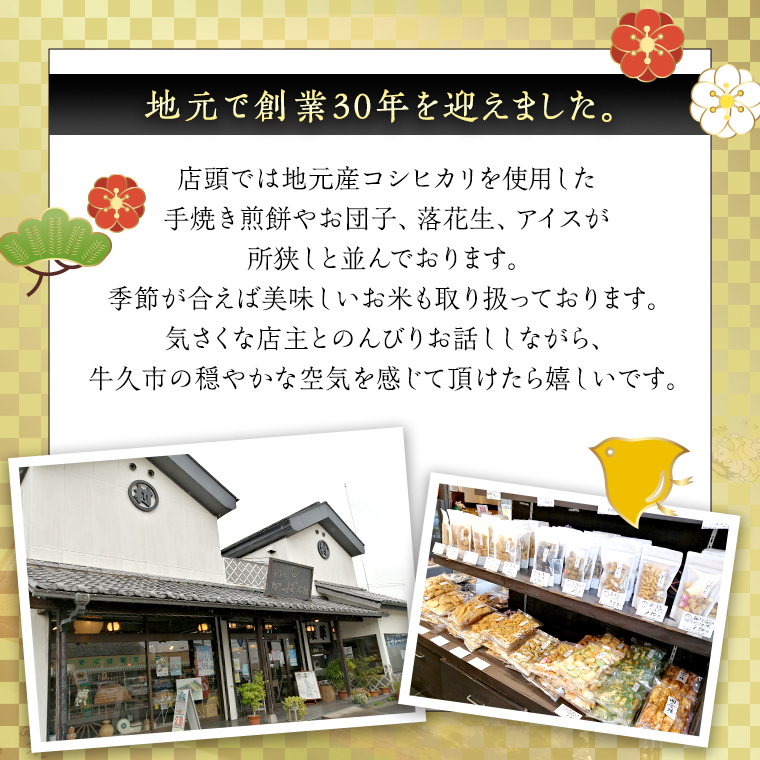 【熨斗付き】 うす焼き煎餅詰め合わせ（54枚入り） せんべい セット 薄焼き コシヒカリ 手焼き ごま えび あおさ 醤油 4種類 ギフト 贈答 のし付き