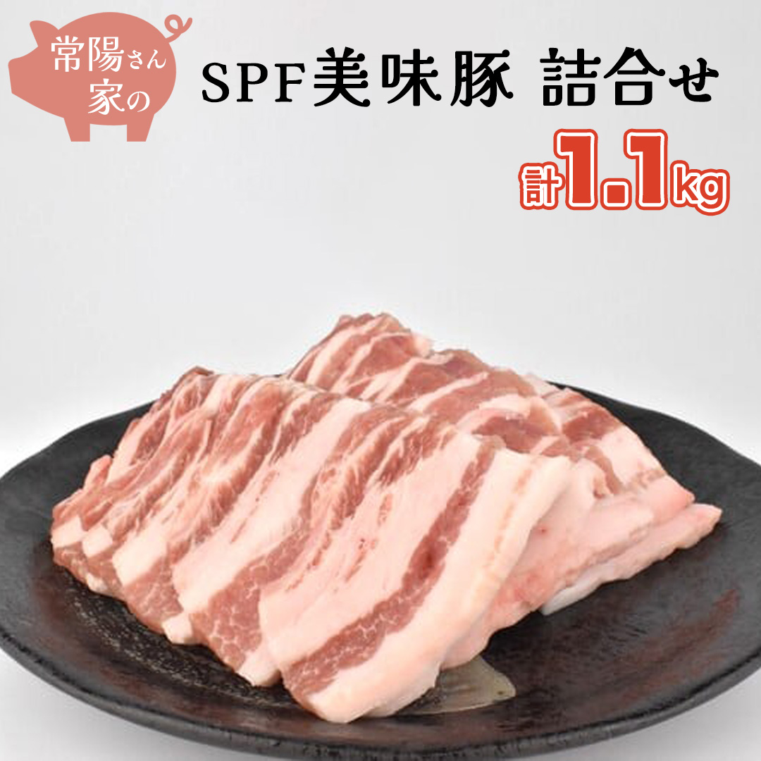 常陽さん家の SPF 美味豚 詰合せ 計 1.1kg 食べ比べ セット 豚肉 ロース しゃぶしゃぶ用 300g×2 バラ焼き肉用 500g 計 1.1kg 国産 ブランド豚 銘柄豚 茨城 SPF認定 農場 焼肉 焼き肉 豚ロース 豚バラ ロース バラ お肉