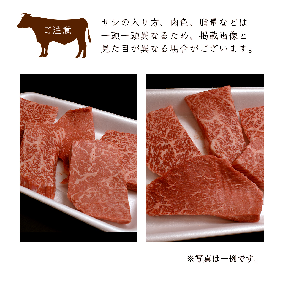 【常陸牛】ももステーキ 500g ( 茨城県共通返礼品 ) 肉 牛肉 和牛 黒毛和牛 赤身 ステーキ 国産 国産牛 もも肉 焼肉 焼き肉 バーベキュー BBQ A4ランク A5ランク ブランド牛