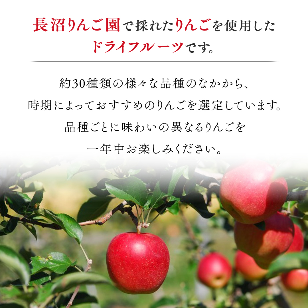 《 先行予約 》長沼りんご園 の どらいりんご 5袋 【 2024年8月より発送開始～ 】 砂糖不使用 オイル不使用 皮ごとカット ドライフルーツ 乾燥りんご 果物 りんご 国産 アップル リンゴ ドライアップル 自然派おやつ ヨーグルトに プチギフト