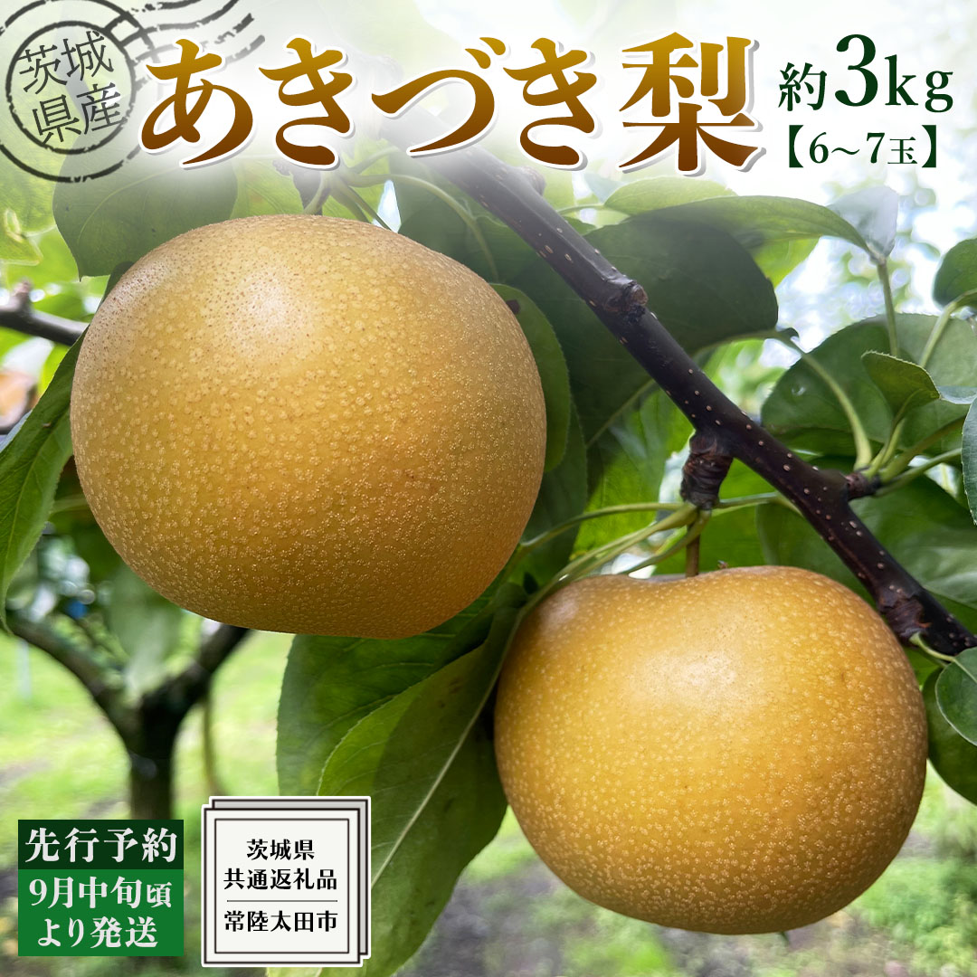 【 先行予約 】茨城県産 梨 あきづき 約 3kg 6玉～7玉( 茨城県共通返礼品 : 常陸太田市 )  【 2024年 9月中旬頃より発送 】 フルーツ 果物 国産 日本産 梨 ナシ なし 和梨 秋月 期間限定 数量限定