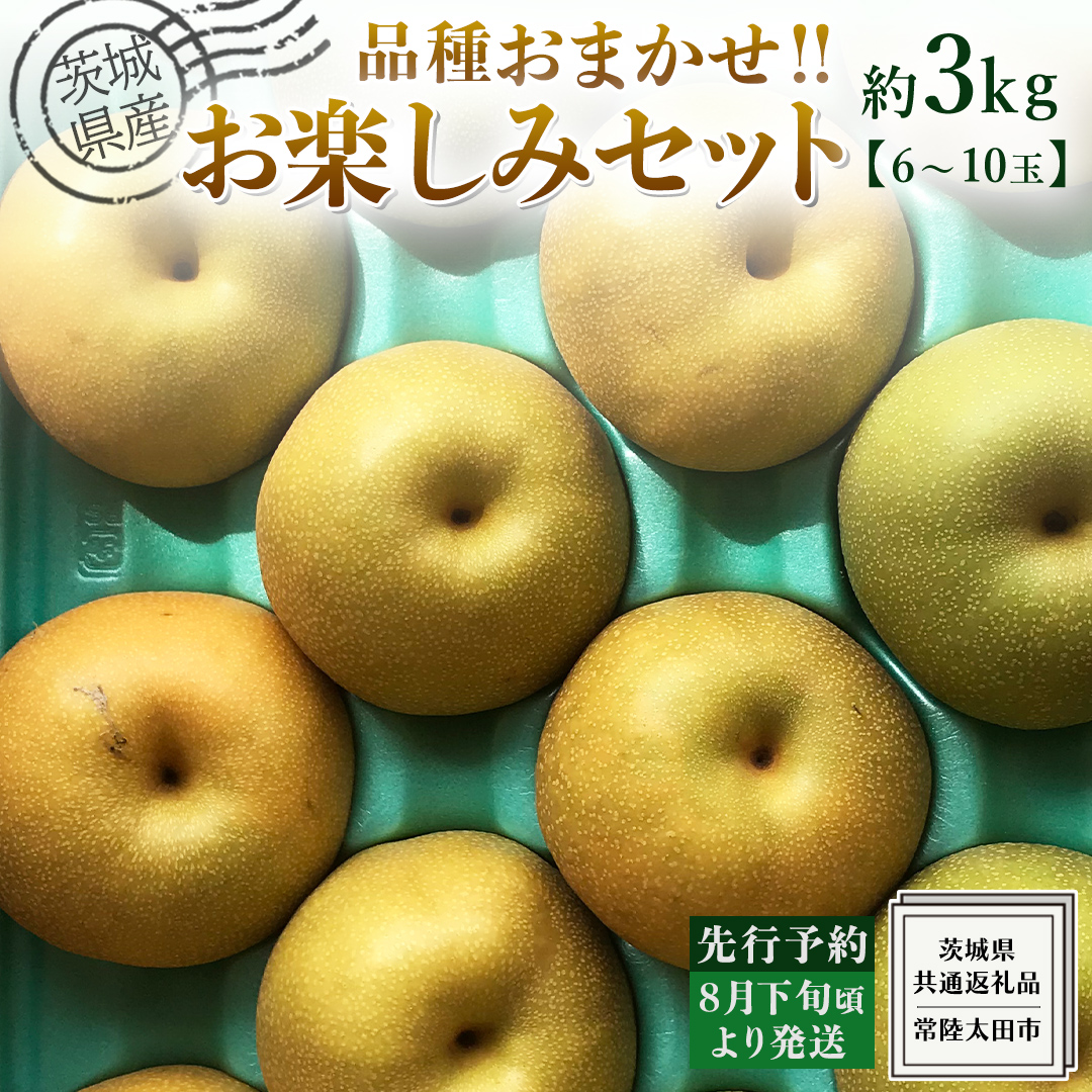 【 先行予約 】茨城県産 梨 品種おまかせお楽しみセット 約 3kg 6玉～10玉 ( 茨城県共通返礼品 : 常陸太田市 )  【 2024年 8月下旬頃より発送 】 フルーツ 果物 国産 日本産 梨 ナシ なし 和梨 期間限定 数量限定