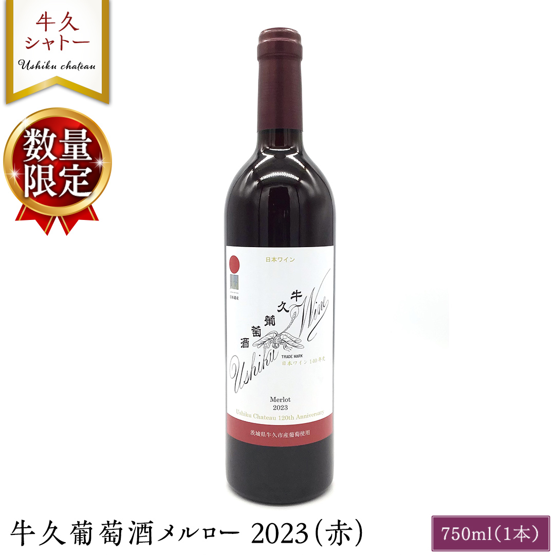 【 数量限定 】 牛久葡萄酒メルロー 2023（赤） 750ml 1本 お酒 牛久シャトー ワイナリー 赤ワイン ぶどう 国産ぶどう 葡萄 贈り物 ライトボディ 日本ワイン 茨城農芸学院 わいん