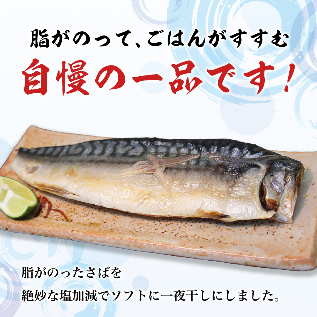 大トロ さば文化 干し 1枚真空 6パック ( 茨城県共通返礼品 :神栖市 ) 海鮮 鯖 切り身 切身 さば サバ 干物 真空パック 真空包装 化粧箱 冷凍 ノルウェーさば