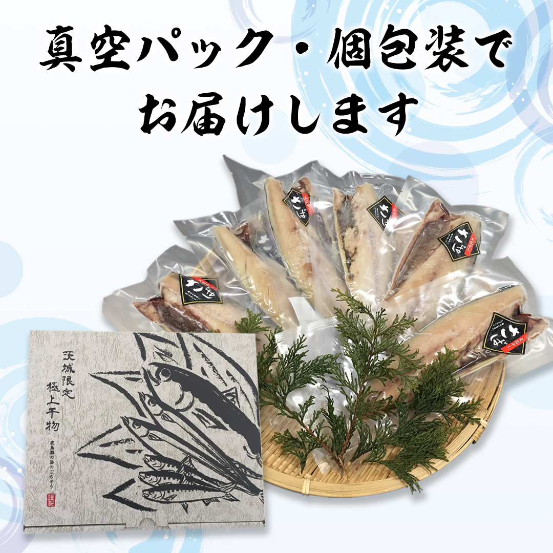 大トロ さば文化 干し 1枚真空 6パック ( 茨城県共通返礼品 :神栖市 ) 海鮮 鯖 切り身 切身 さば サバ 干物 真空パック 真空包装 化粧箱 冷凍 ノルウェーさば