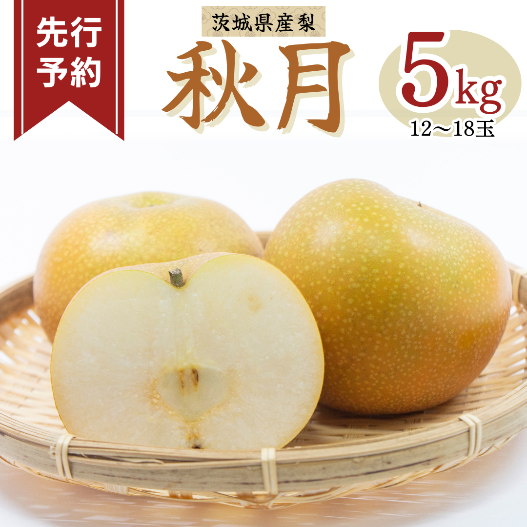 《 先行予約 》茨城県産 梨 秋月 5kg 12～18玉 【2024年発送】フルーツ 果物 なし ナシ 旬 新鮮 旬 期間限定 甘い 国産