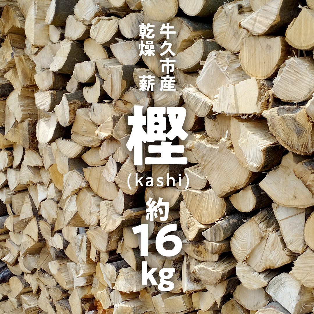 牛久市産 乾燥 薪 樫 ( かし ) 約 16kg 天然木 マキ 乾燥薪 広葉樹 キャンプ アウトドア 焚火 焚き火 薪ストーブ 暖炉 たき火 野外 屋外 バーベキュー薪 ピザ窯の薪 グリル焼