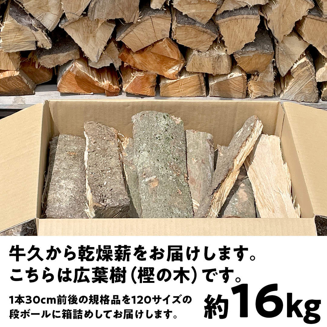 牛久市産 乾燥 薪 樫 ( かし ) 約 16kg 天然木 マキ 乾燥薪 広葉樹 キャンプ アウトドア 焚火 焚き火 薪ストーブ 暖炉 たき火 野外 屋外 バーベキュー薪 ピザ窯の薪 グリル焼