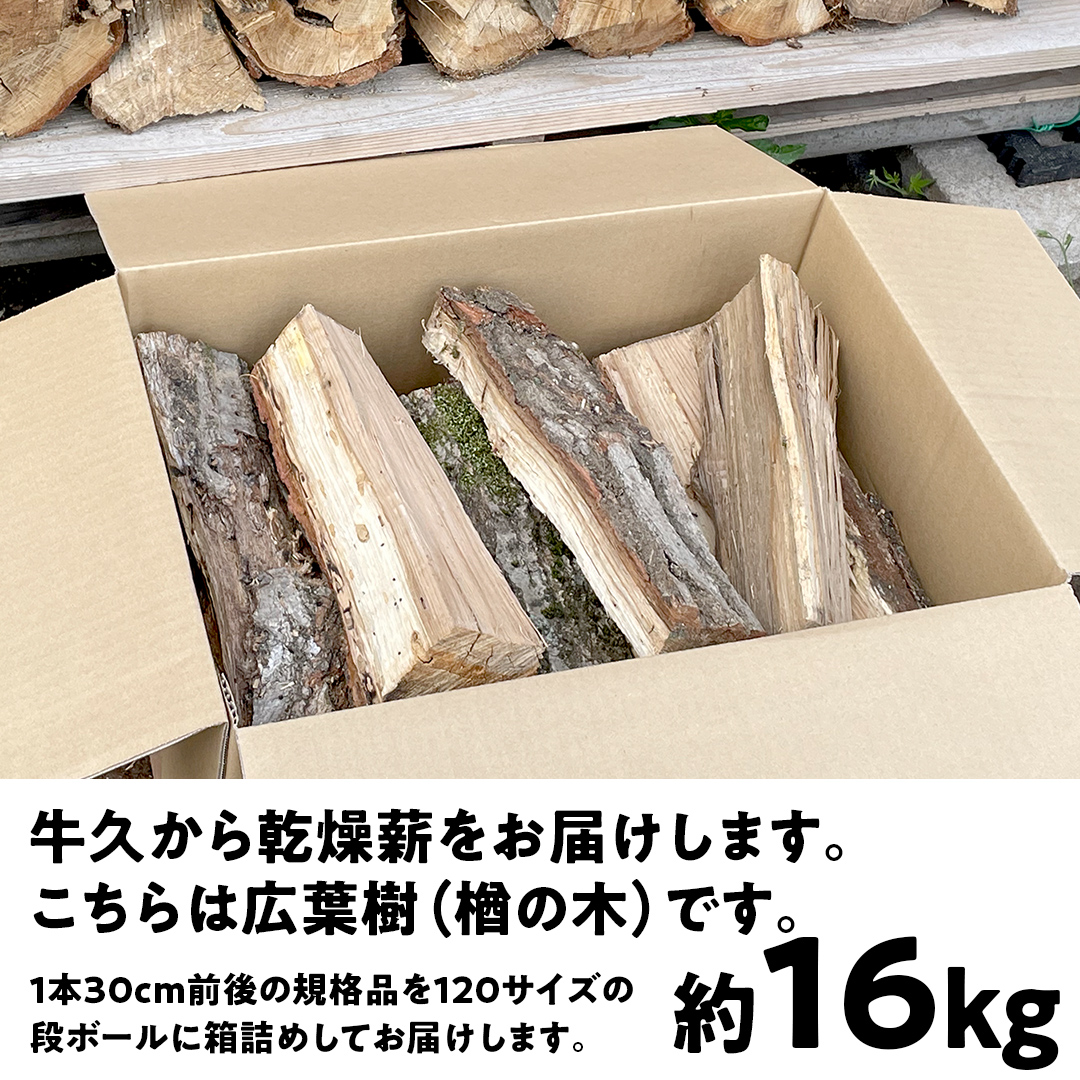 牛久市産 乾燥 薪 楢 ( なら ) 約 16kg 天然木 マキ 乾燥薪 広葉樹 キャンプ アウトドア 焚火 焚き火 薪ストーブ 暖炉 たき火 野外 屋外 バーベキュー薪 ピザ窯の薪 グリル焼