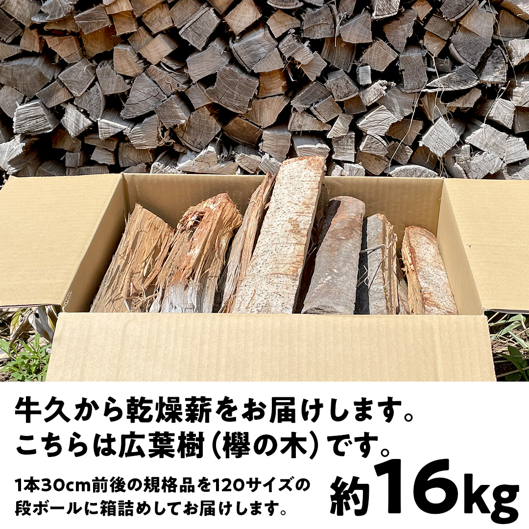 牛久市産 乾燥 薪 欅 ( けやき ) 約 16kg 天然木 マキ 乾燥薪 広葉樹 キャンプ アウトドア 焚火 焚き火 薪ストーブ 暖炉 たき火 野外 屋外 バーベキュー薪 ピザ窯の薪 グリル焼