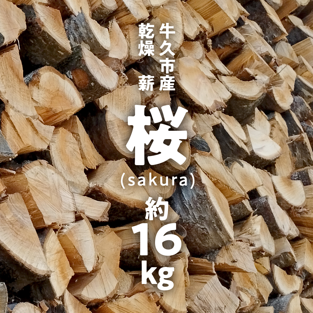 牛久市産 乾燥 薪 桜 ( さくら ) 約 16kg 天然木 マキ 乾燥薪 広葉樹 キャンプ アウトドア 焚火 焚き火 薪ストーブ 暖炉 たき火 野外 屋外 バーベキュー薪 ピザ窯の薪 グリル焼